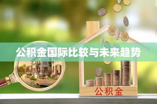阳泉公积金国际比较与未来趋势