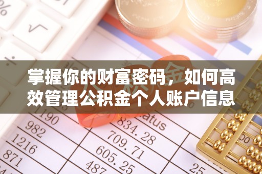 阳泉掌握你的财富密码，如何高效管理公积金个人账户信息