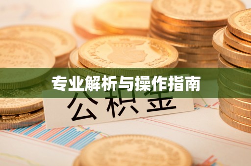 阳泉专业解析与操作指南