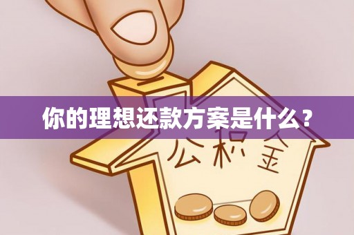 阳泉你的理想还款方案是什么？