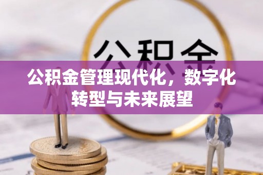 阳泉公积金管理现代化，数字化转型与未来展望