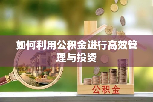阳泉如何利用公积金进行高效管理与投资