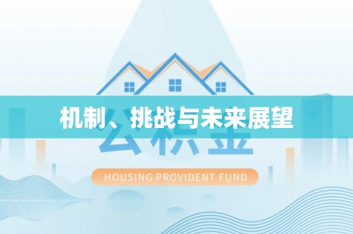 阳泉机制、挑战与未来展望
